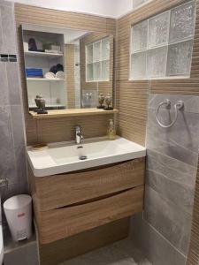 Duplex Marigot centre-ville في ماريجوت: حمام مع حوض ومرآة