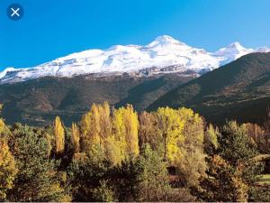 una montagna innevata con alberi in primo piano di VILLANUA ACOGEDOR PISO CON GARAJE, PADEL Y PISCINA a Villanúa