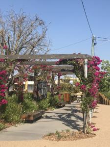 uma pérgola coberta de flores num jardim em Golden West Motor Inn em Miles