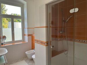 a bathroom with a shower and a toilet and a sink at Zahradni in Karlovy Vary