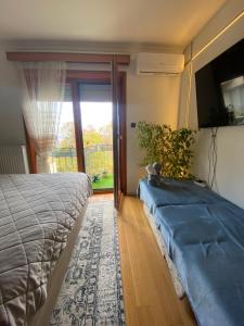 Schlafzimmer mit einem Bett, einem TV und einem Fenster in der Unterkunft Studio Ivy in Vrnjačka Banja