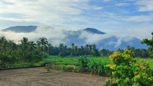 a view of a field with mountains in the background at 登雲villa in Shan-lin