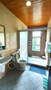 ein Bad mit einem WC, einem Waschbecken und einem Fenster in der Unterkunft 登雲villa in Shan-lin