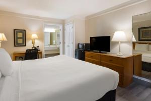 a hotel room with a large bed and a television at Super 8 by Wyndham Savannah in Savannah +9 photos