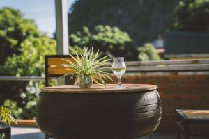 um copo de vinho sentado numa mesa com uma planta em Trang An Backpacker Homestay em Ninh Binh