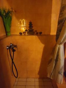 a bathroom with a shower with a vase on a shelf at Chata Hvězdička in Litoměřice