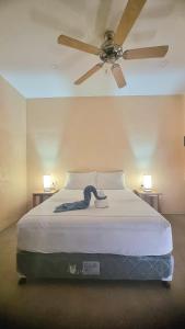 um quarto com uma cama e uma ventoinha de tecto em Tiki Bantayan Cebu Tourist Inn Inc em Pooc