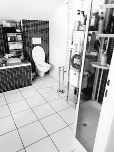 a bathroom with a toilet and a sink at chambre parentale avec douche et wc in Lourdes