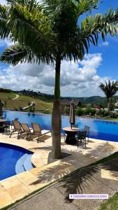 a palm tree next to a pool with a table and chairs at Apartamento sonhos da serra bananeiras in Bananeiras