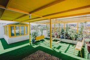 Good Morning International Chain Hostel Of Kashgar City外面的花园