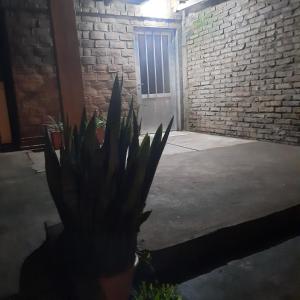 una planta frente a un edificio con puerta en Casa 2 dormitorios en Oberá