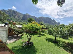 een groene tuin met bomen en bergen op de achtergrond bij Posada Meztitla in Tepoztlán