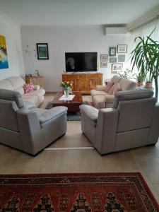 een woonkamer met 2 banken en een tv bij chez MARINO antony real in Orange