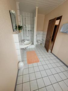 a bathroom with a sink and a toilet and a mirror at Gasthaus für Monteure in Niederzissen