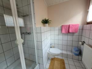 a bathroom with a toilet and a shower with pink towels at Gasthaus Ratsschenke in Niederzissen