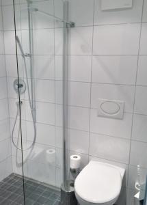 een badkamer met een toilet en een glazen douche bij Fontana Budget in Twann