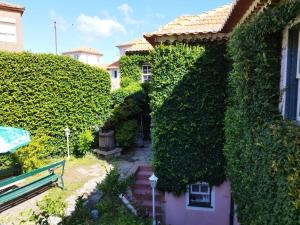 ポルトにあるSEA Villa Rosa Charm Seaside and Gardenの蔦の木が横に生えている家