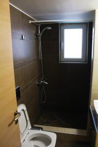 a bathroom with a toilet and a shower with a window at AIOLOS VOULA near the sea apartment in Athens