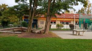 a park with two trees and a bench in front of a building at FeWo Steingasse in Schwalmstadt