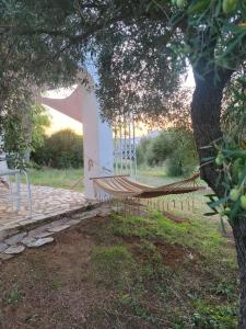 een hangmat onder een boom naast een gebouw bij Bungalow -escapadas en Arcos de la Frontera in Arcos de la Frontera