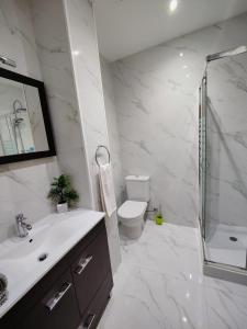 a bathroom with a sink and a toilet and a shower at Apartment in the historic center of Porto in Porto