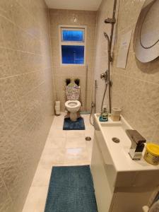 La salle de bains est pourvue de toilettes, d'un lavabo et d'une douche. dans l'établissement House with great location near Harry Potter studio, à Watford