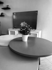 Μια τηλεόραση ή/και κέντρο ψυχαγωγίας στο Chayil Loft Mulago