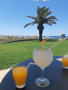 two glasses of orange juice on a table with a palm tree at Son Xoriguer appartement calme, mer, piscines.Son Xoriguer quiet apartment, sea, swimming pools. in Son Xoriguer
