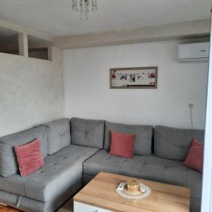 - un salon avec un canapé gris et des oreillers rouges dans l'établissement Apartman Nira, à Zenica