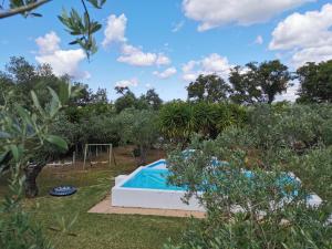 a pool in a garden with a swing at Montadinho Houses in São Bartolomeu da Serra