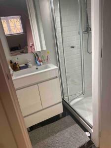 a bathroom with a white sink and a shower at SEA Villa Rosa Seaside & Garden. in Porto