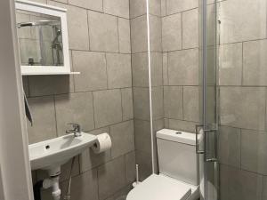 a bathroom with a toilet and a sink and a shower at Amazing Studio Room 1 - East Ham/East London in London