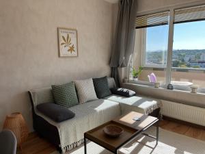 - un salon avec un canapé et une fenêtre dans l'établissement Sun Home, à Sofia