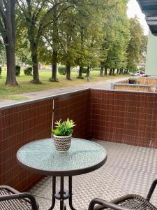 een tafel met een potplant op een patio bij Exkl. helles Apartment mit Balkon, WLAN& Parkplatz in Maagdenburg