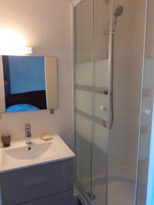 a bathroom with a sink and a shower at BONSEJOUR in Saint-Maurice-sur-Moselle