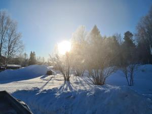 un sol brillando entre los árboles en la nieve en Mattmar vila, 