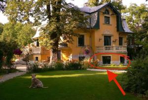 Vonkajšia záhrada v ubytovaní Buda Hills villa apartment