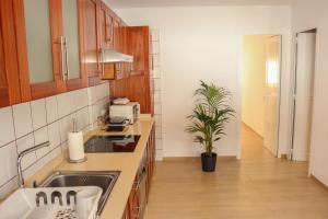 a kitchen with a sink and a potted plant at Mary (A): Confort y playa. in Breña Baja