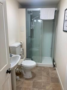a bathroom with a shower and a toilet and a sink at Town House 8-8A High Street in Newport