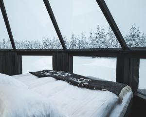 Voodi või voodid majutusasutuse Northern Lights Village Pyhä toas