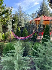 Κήπος έξω από το სასტუმრო ამელი/Hotel Ameli
