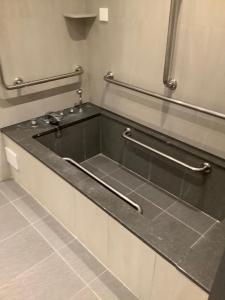 a bathroom with a sink with two hand rails at Jin Shi Hu Hotel in Kaohsiung