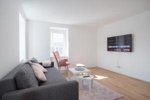 TV a/nebo společenská místnost v ubytování Neusaniertes 3Familienhaus am Bahnhof Wyhlen 7Min von Basel CH