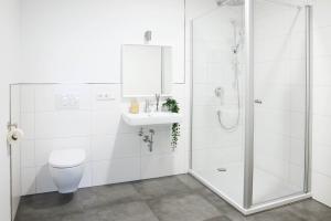 a bathroom with a shower and a toilet and a sink at Ajko Homes - Loft-Apartment mit Parkplatz bei Heidelberg in Dossenheim +13 photos