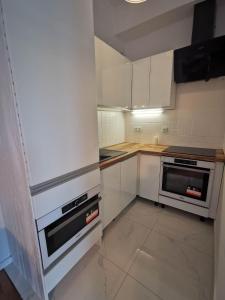Kuchyňa alebo kuchynka v ubytovaní Panoráma Gold Wellness Apartman