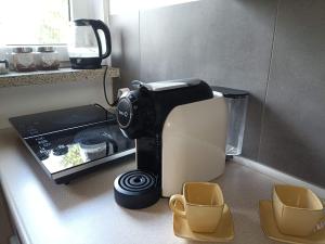 eine Kaffeemaschine auf einer Theke in einer Küche in der Unterkunft Apartament Leśny in Supraśl