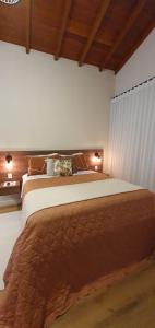 1 dormitorio con 1 cama grande en una habitación en Villaggio di Itália Chalés, en Santa Teresa
