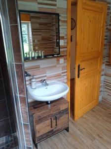 een badkamer met een wastafel en een spiegel bij Ferienhaus am Wald in Sangerhausen