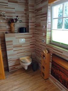 a small bathroom with a toilet and a window at Ferienhaus am Wald in Sangerhausen
