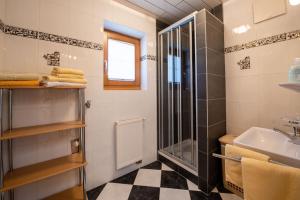 Koupelna v ubytování Apartment Bacher Nr.4